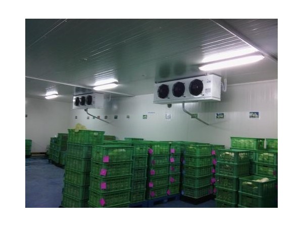 果蔬倉（冷）庫溫濕度監(jiān)測智能報警系統(tǒng)讓環(huán)境更穩(wěn)定！