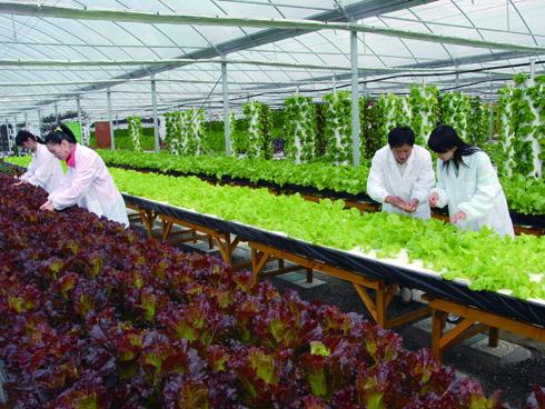 邁世努力促進智慧農(nóng)業(yè)，實現(xiàn)新業(yè)態(tài)