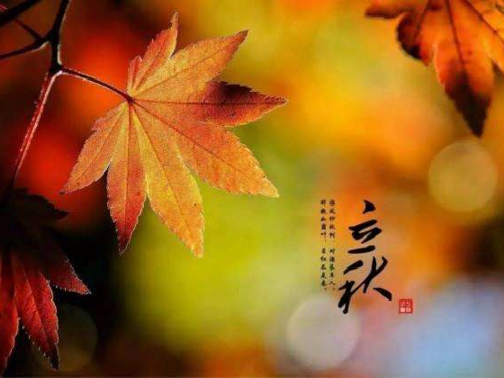 秋來了，莫慌！智慧主機(jī)依舊值得推薦的